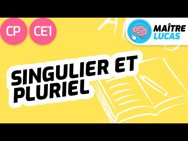 Le singulier et le pluriel CP - CE1 - Cycle 2 - Français : étude de la langue, Lecture