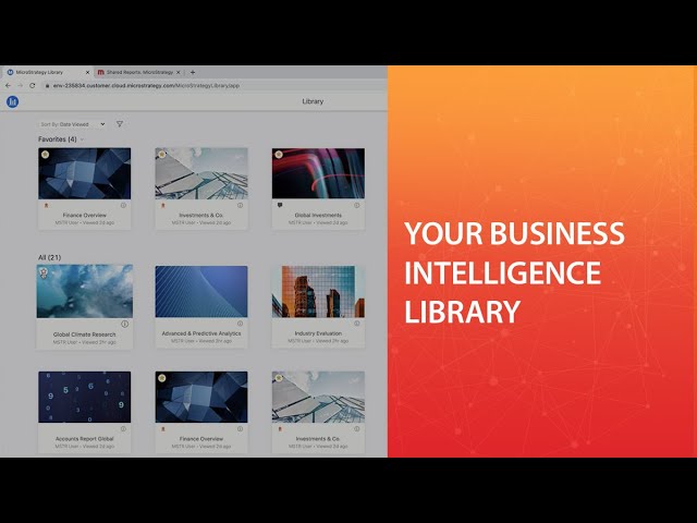 Your Business Intelligence Library