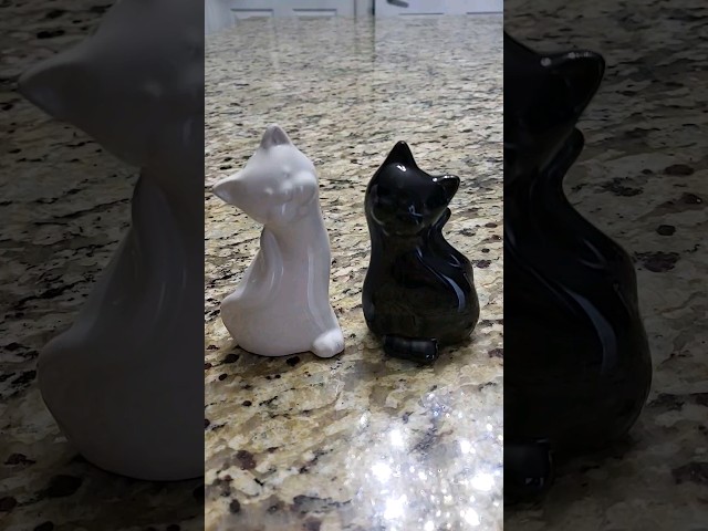 Thrift With Me Mystery Cat Salt and Pepper Shakers