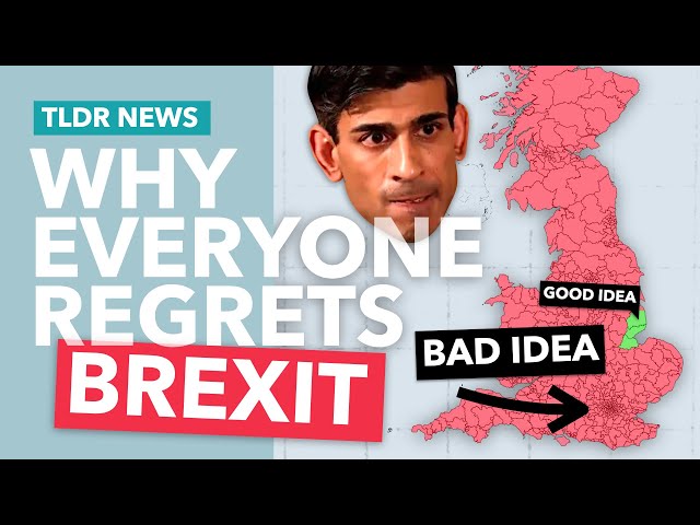 Everyone Regrets Brexit: So What?