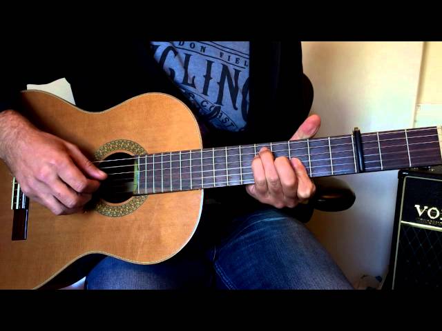 Leonard Cohen - You got me singing - Guitar lesson by Joe Murphy