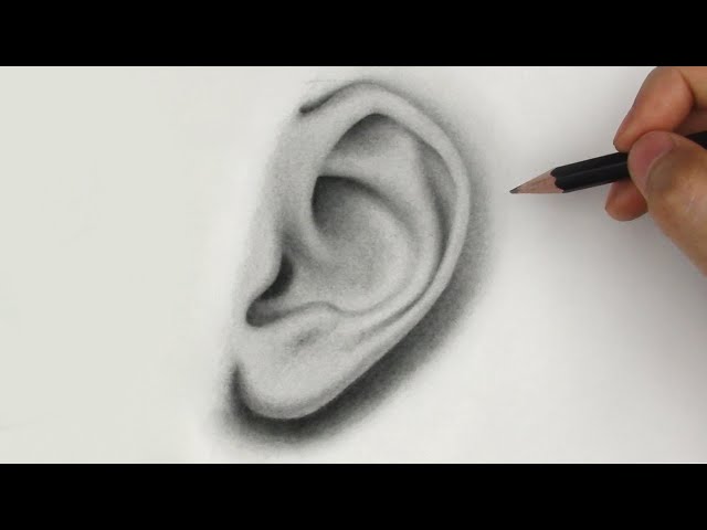 How to Draw Ears | Side View