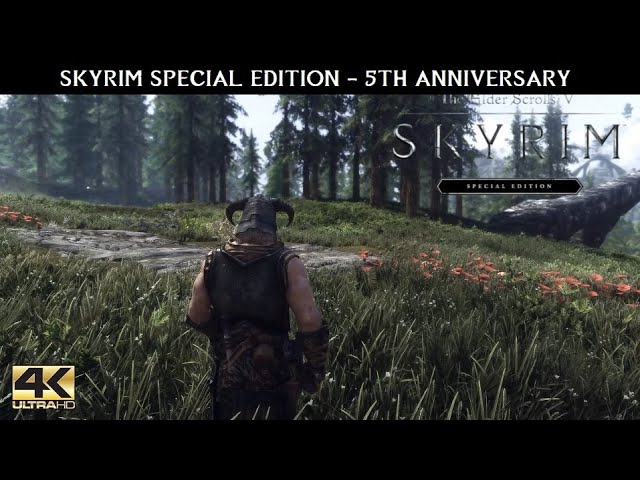 SKYRIM SE Ultra Modded 2021 4K - Celebrating Skyrim Special Edition 5th Anniversary
