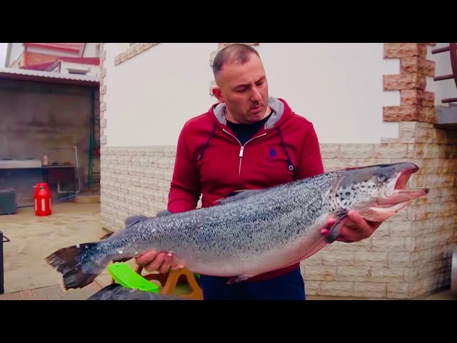 SALMON in a SMOKER. ENG SUB