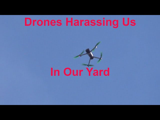 2 Drones Harassing Us In Our Own Yard
