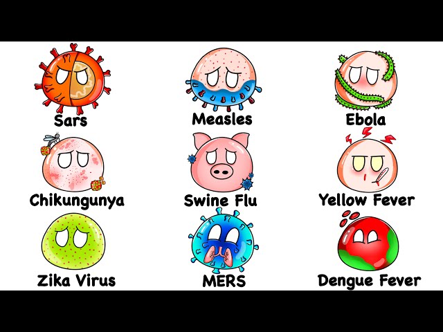 Every DEADLIEST Disease Outbreak Explained in 15 Minutes