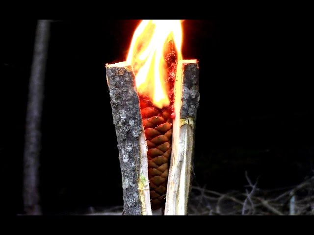 Survival- Emergency Tree Resin Torch