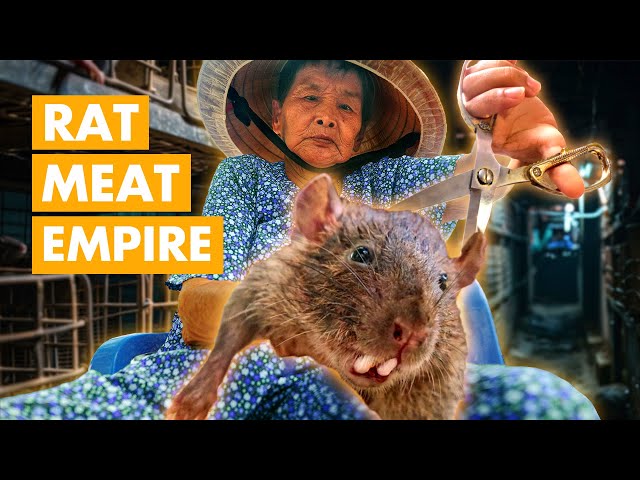 How Mekong Villagers Make Millions In Bizarre Ways: From Rat Villages to Luxury Croc Farms