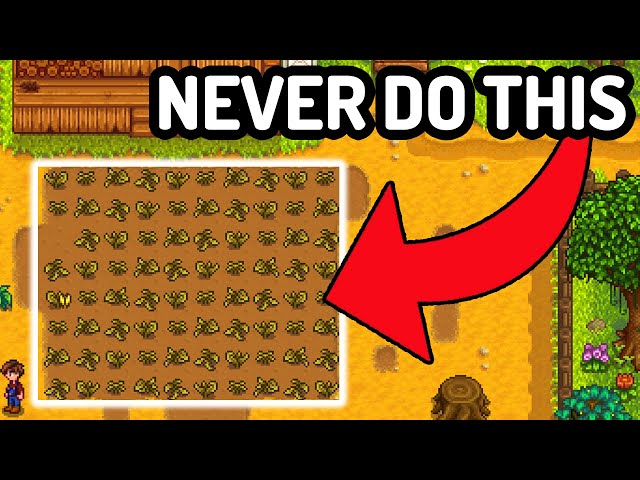 Massive Stardew Valley Mistakes You Should Avoid