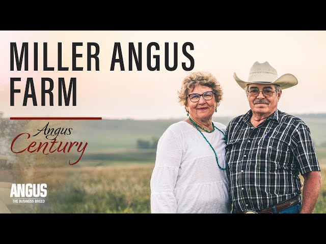 Miller Angus Farm | Angus Century (2023)