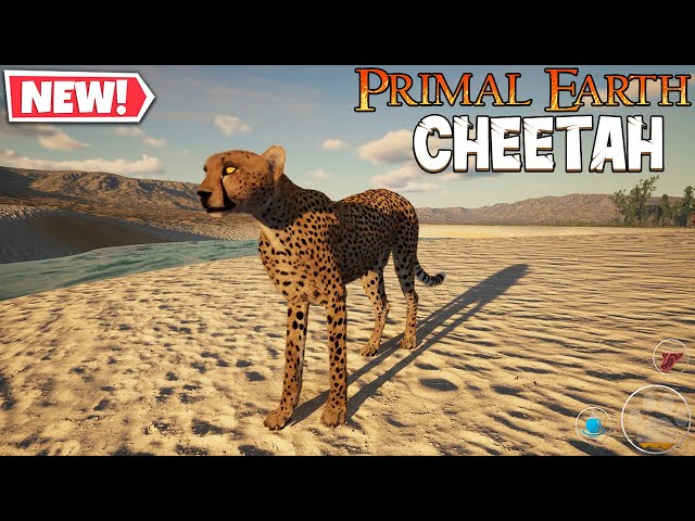 Cheetah Gameplay | Primal Earth (2023)