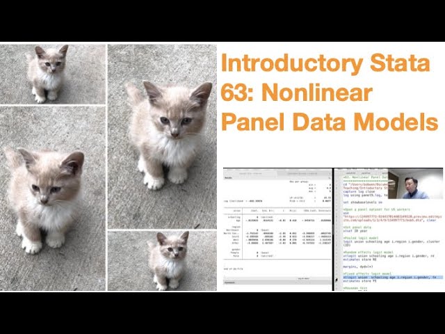 Introductory Stata 63: Nonlinear Panel Data Models