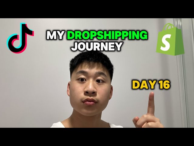 My Dropshipping Journey - Day 16