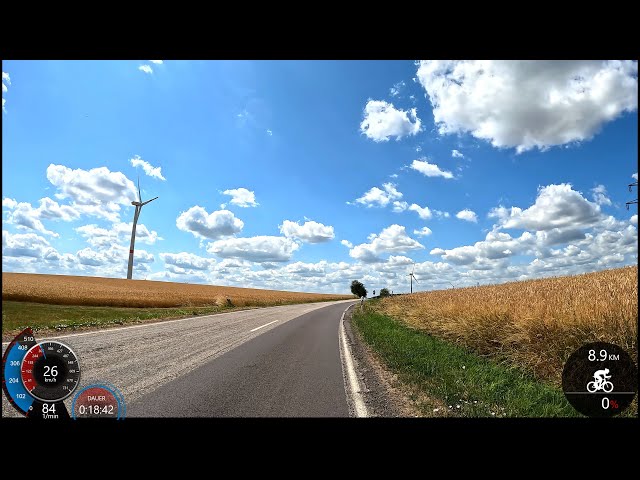 30 minute Sunshine Virtual Cycling Workout Garmin Ultra HD Video