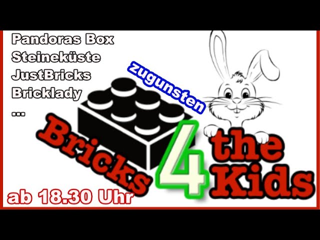 Live-Spenden-Stream zugunsten Brick4theKids e.V.