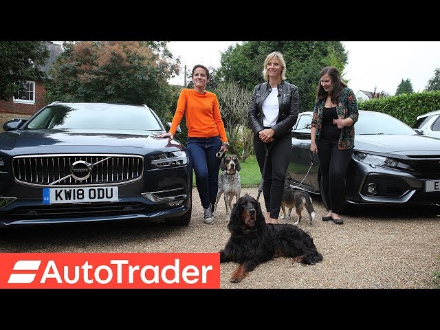 The REV Test: Dog-Friendly Cars. Honda Civic vs Land Rover Discovery vs Volvo V90