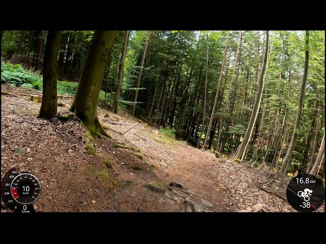 30 minute Trail Bike Indoor Cycling Workout Germany Garmin Ultra HD Video