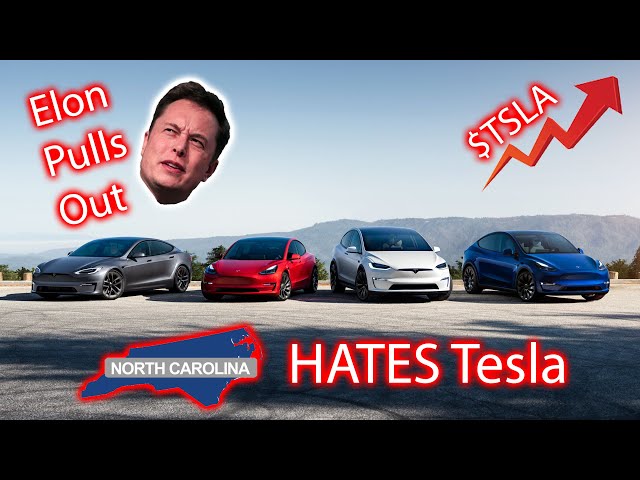 HUGE Tesla News Week! Big News Sunday!