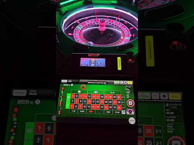 My First Time Playing Electronic Roulette