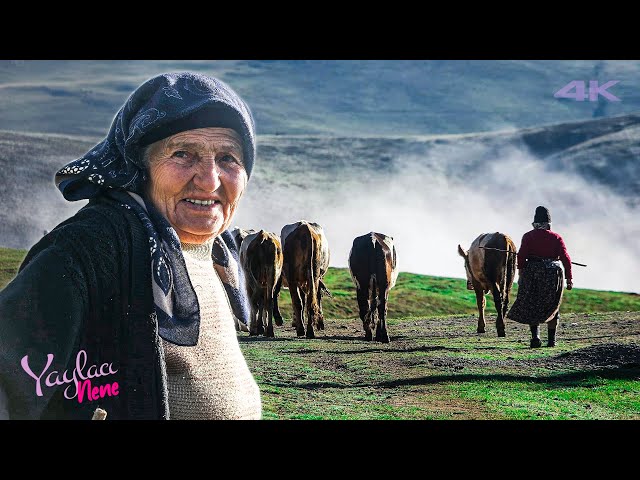Grandma in the highland | Documentary ▫️4K▫️