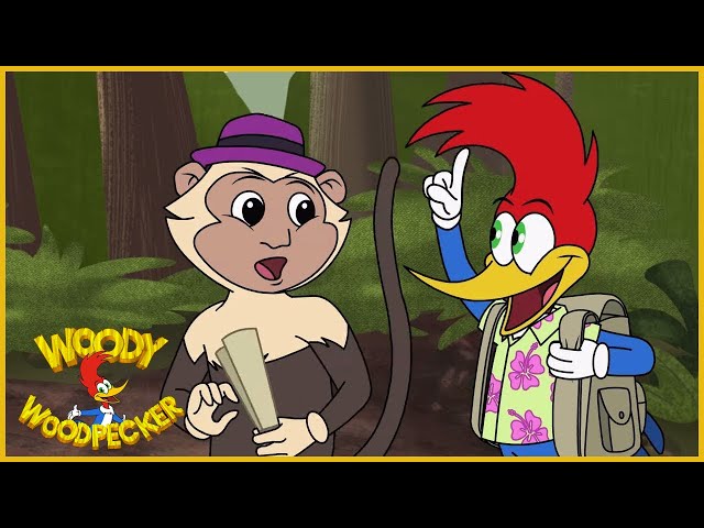 Woody Woodpecker | Jungle Adventure | Full Episodes