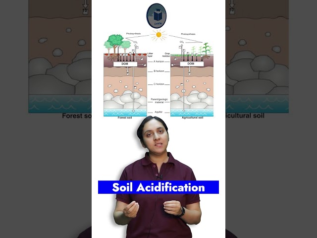 Soil Acidification - What is Soil Acidification? #soil #acidity #agriculture #civilstapupsc #shorts