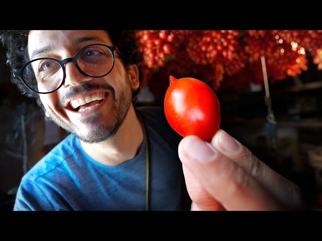 I Ate The Best Tomato in The World (Piennolo del Vesuvio)