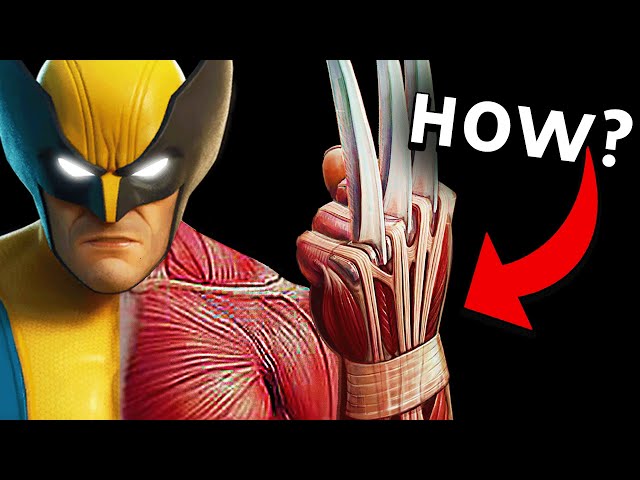 How Do Wolverine's Claws Work?