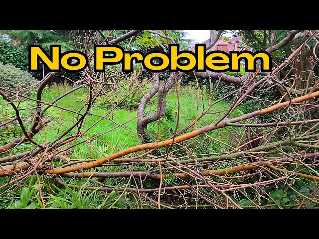 Young Couple Needed Help In OVERGROWN Garden | CLEAN UP | Garden Rescue | YARD TRANSFORMATION