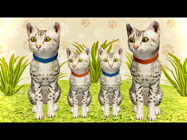 Little Cat Simulator : Kitties Family NEW Boss Adventure Games iOS - Play Fun Cute Kitten #10