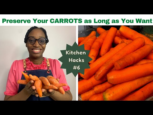 How to Preserve Carrots | Keep Your Carrots Fresh for a Long Time | Oluwatunseyi