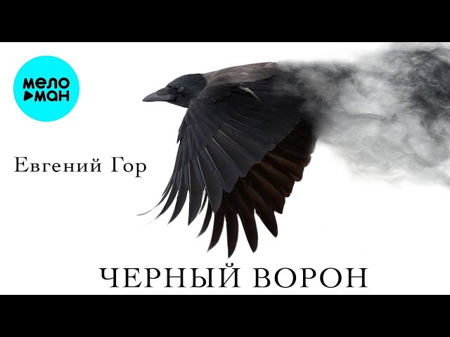 Евгений Гор – Черный ворон (Single 2024)