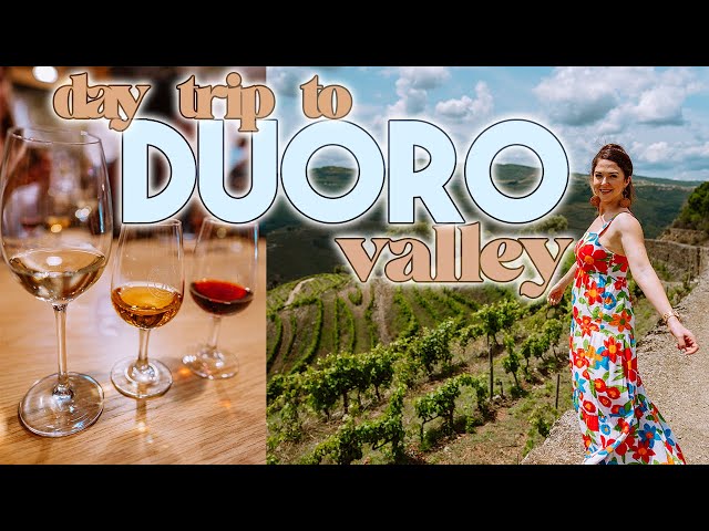 Duoro Valley Wine Tasting Adventure from Porto: A Porto Day Trip You Can't Miss!