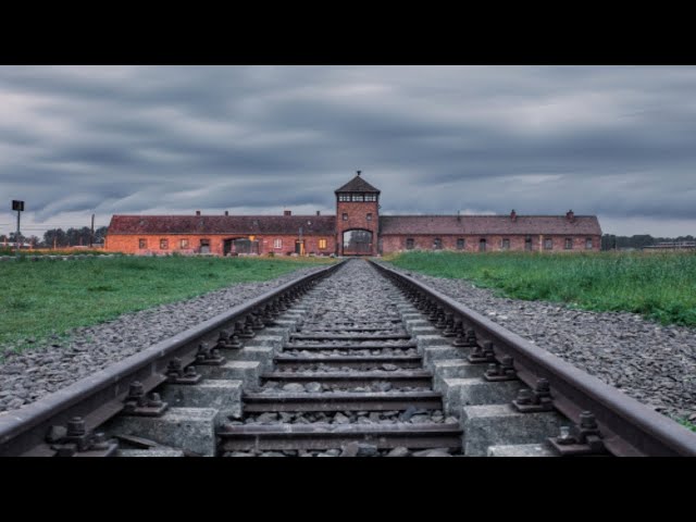 העלמת עובדות ושקרים במוזיאון: כיצד פולין מנסה לשכתב את השואה?