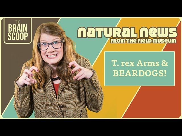 T. rex Arms & BEARDOGS! | Natural News from The Field Museum | Ep. 6