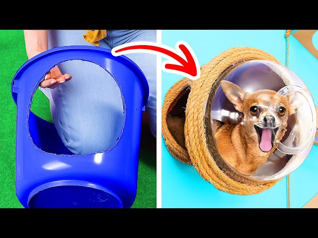 With These Cool Hacks You Can Sneak Your Pet Everywhere 🤫🕶️🐶