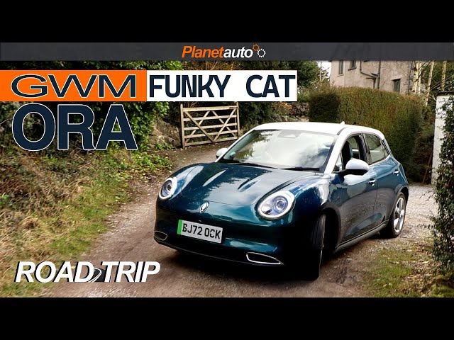 GWM Ora Funky Cat 03 | Yorkshire Road Trip