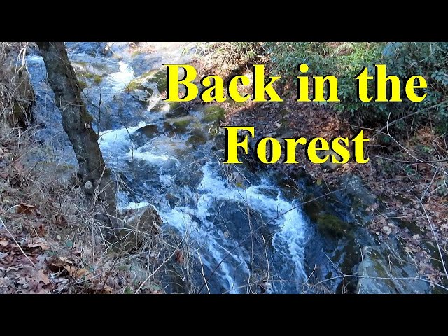 Free Boondocking Winter Camping in the Pisgah National Forest in the Aliner Popup Camper
