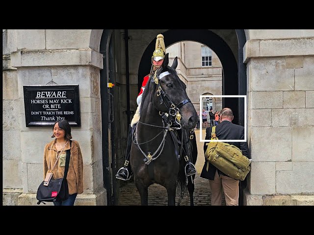 RUDE IDIOT TOURIST SHOCKS GUARD and an UPDATE ON THE INJURED HCAV HORSES at Horse Guards!