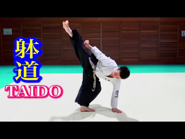 【TAIDO】Principle of manipulating the body, Tetsuji Nakano. With subtitles of various languages!