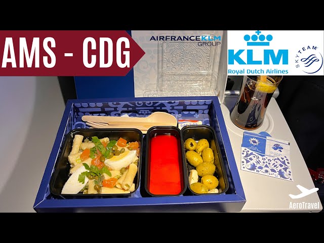 KLM BUSINESS CLASS | AMSTERDAM - PARIS | BOEING 737-800 | TRIPREPORT | UNDERWHELMING FOOD | 4K 60FPS