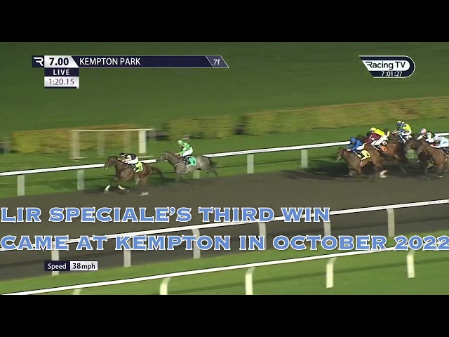Lir Speciale - Watch the new Racing TV syndicate horse's wins at Kempton!