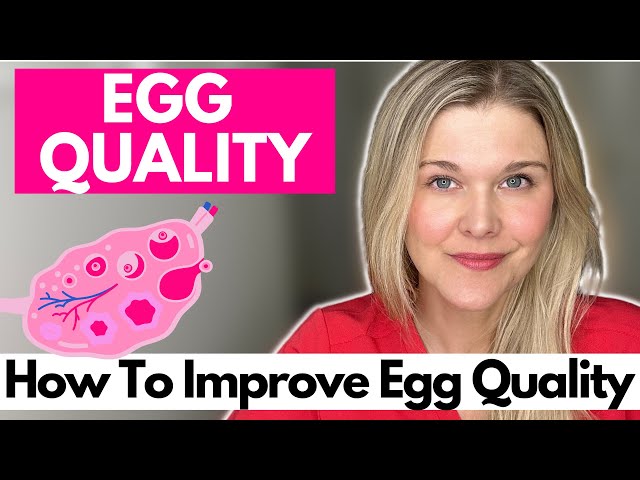 Egg Quality: How To Improve Your Egg Quality