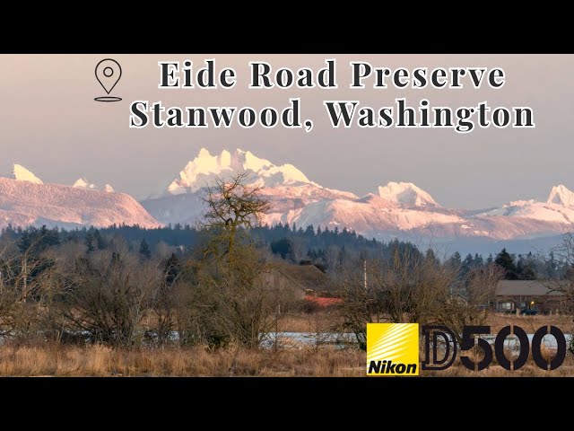 Exploring Skagit County, Washington For Bald Eagles And Short Eared Owls On A Photography Trip