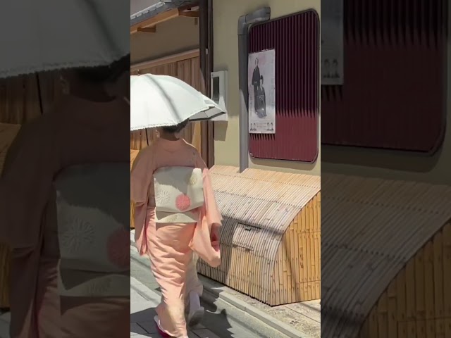 挨拶する時は日傘をたたむ宮川町の舞妓さん #京都 #舞妓