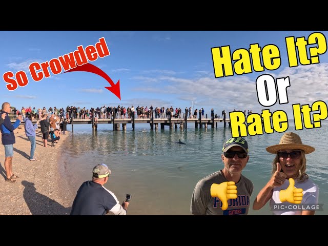 WASN’T WHAT WE EXPECTED! MONKEY MIA DOLPHINS-SHARK BAY/OFFGRID FREE CAMPING/Caravanning Australia/70