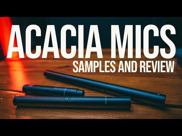 Acacia Audio LIZ Shotgun Mic Review