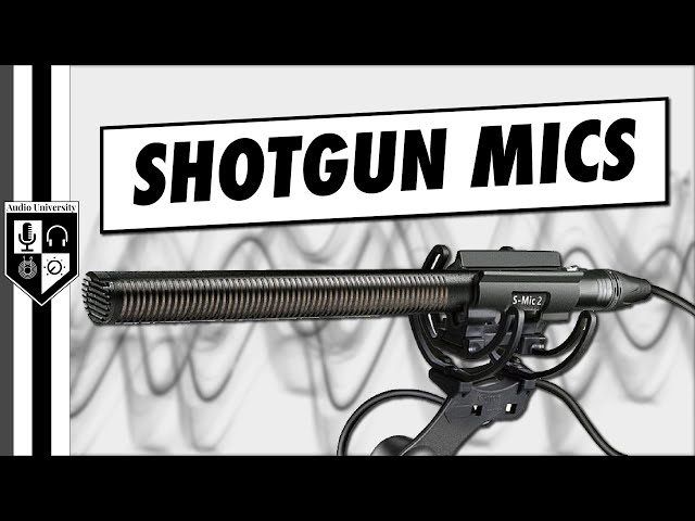 How Shotgun Microphones Work & When To Use One