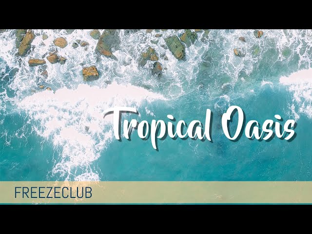 [Summer] Freezeclub - Tropical Oasis