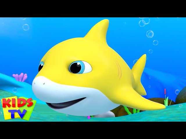 Shark Song for Kids, बाचा शार्क, Kalu Madari Aaya + Luke and Lily Hindi Rhymes for Children